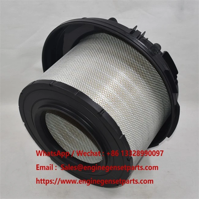 AF26165 DGBW (10)
