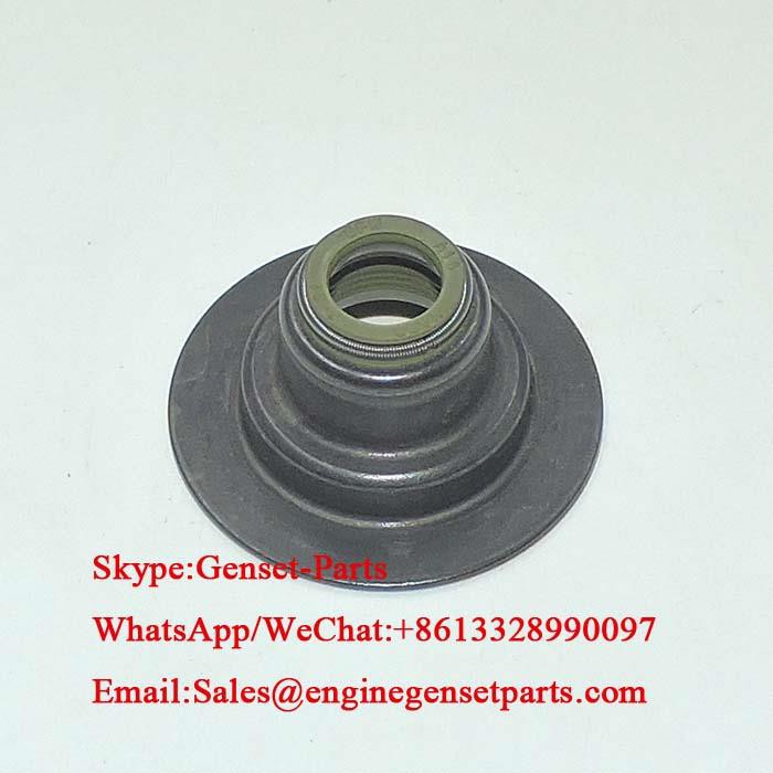 2418M519 916-160 4225347M1 Уплотнение штока клапана