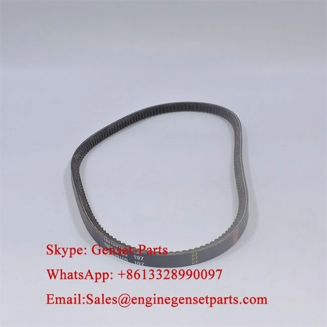 T80109105 Fan Belt T80109105 Fan Belt